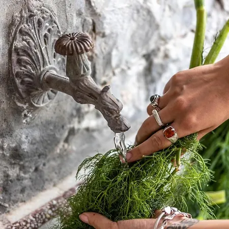 Villa Casa Gaia Panormos (Skopelos)