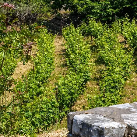Casa Gaia Villa Panormos (Skopelos)