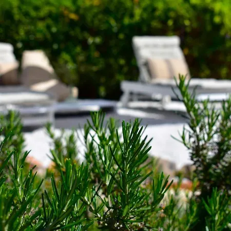 Casa Gaia Villa Panormos (Skopelos)