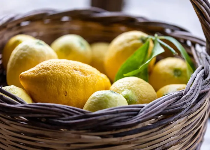 ヴィラ Casa Gaia Panormos (Skopelos)