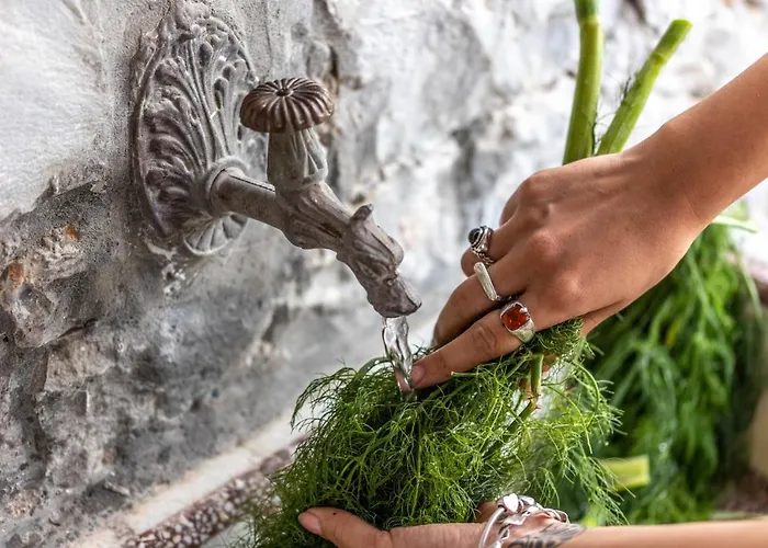 ヴィラ Casa Gaia Panormos (Skopelos)