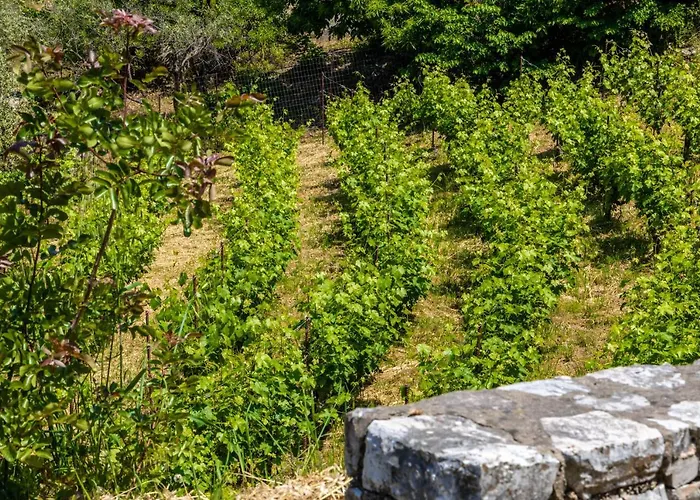 Casa Gaia ヴィラ Panormos (Skopelos)